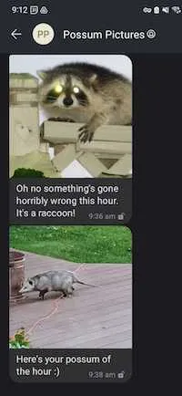 Possum Timer Vertical